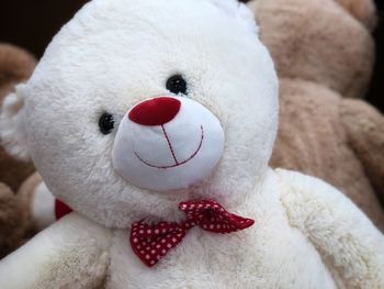 Close-up of white teddy bear