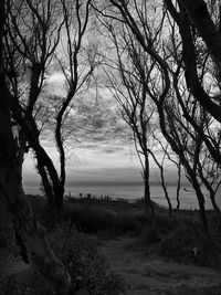 Bare tree by lake against sky