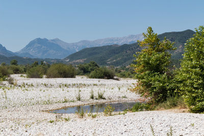 Scenic view of landscape and mountains against clear sky