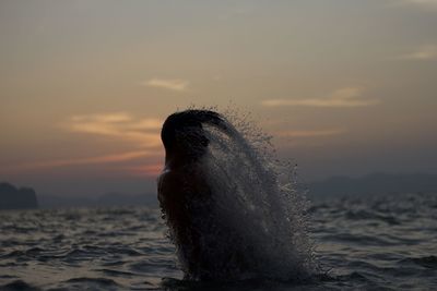 View of horse in sea at sunset