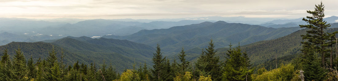 A large panoramic view from an overlook point at clingman's dome in early autumn. 