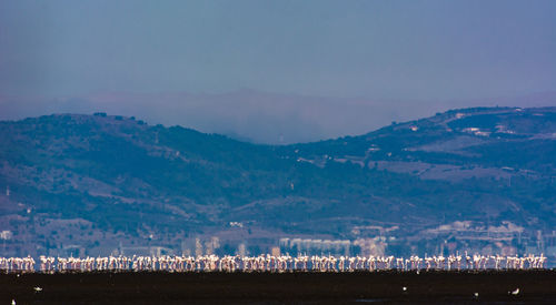 Scenic view of mountains against sky at night