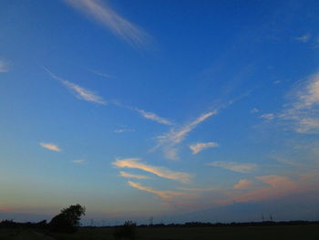 Low angle view of silhouette trees against sky during sunset