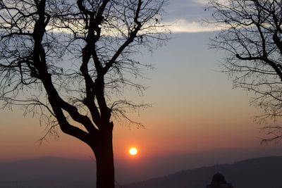 Silhouette bare tree against sky during sunset