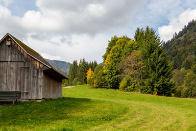 Landscape with green meadow, multi colored trees, cottage in black forest