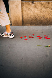 Low section of person on footpath by rose petals