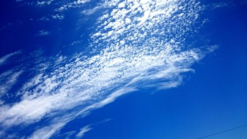 Low angle view of trees against blue sky