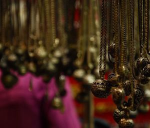 Close-up of snake hanging