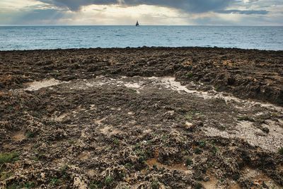 Scenic view of sea shore against sky