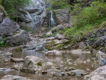 Stream flowing through rocks in forest