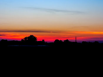 Silhouette of trees at sunset