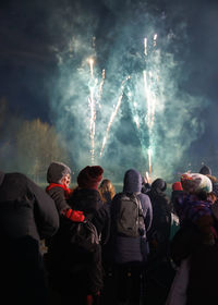 People admiring fireworks display in a park at night