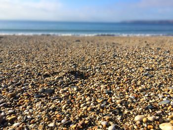 Surface level of beach