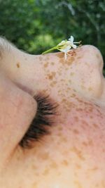 Close-up of an insect on hand