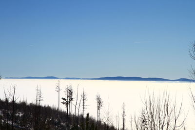 Scenic view of landscape against clear blue sky