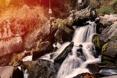 Scenic view of waterfall in forest