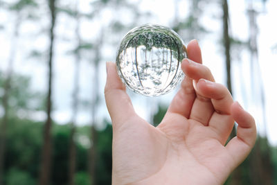 Cropped image of hand holding crystal ball against trees