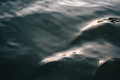 High angle view of rippled water