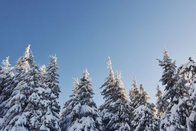 Clear blue sky.