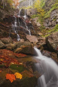 Scenic view of waterfall in forest during autumn