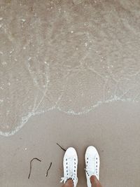 Low section of person standing on beach