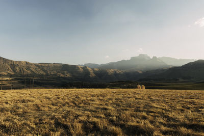 Scenic view of field against sky