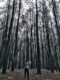 Rear view of man standing by trees in forest