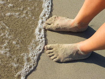 Low section of person standing on wet shore 