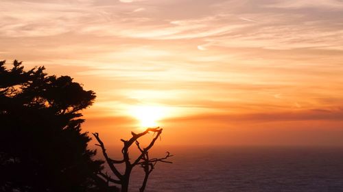 Silhouette tree by sea against romantic sky at sunset