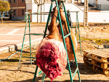 Clothes hanging on clothesline