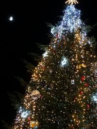 Illuminated christmas tree at night