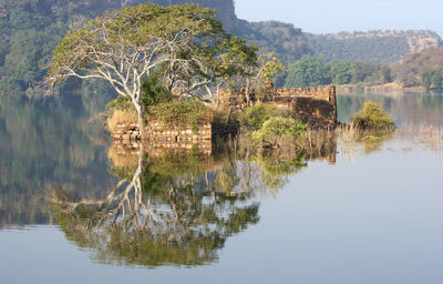 Scenic view of lake by trees