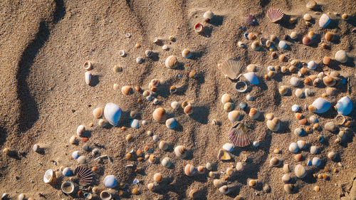 High angle view of pebbles on beach