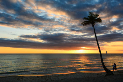 Palm tree at beach against cloudy sky during sunset