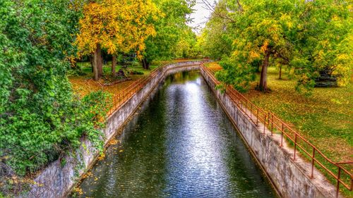 River amidst trees in forest during autumn