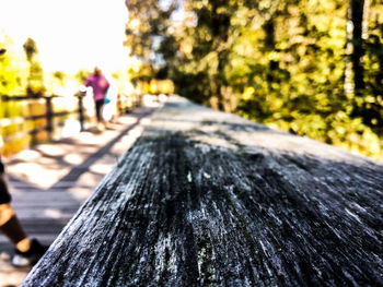 Surface level of wooden railing against trees