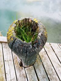 High angle view of wood on wooden post