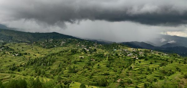 Scenic view of vineyard against sky