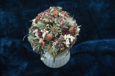 High angle view of flowering plant