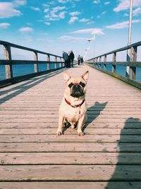 Wooden pier on sea