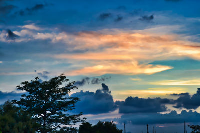 Low angle view of silhouette trees against sky during sunset