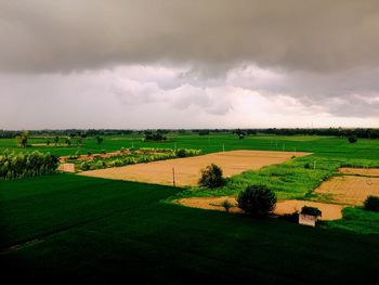 Scenic view of agricultural field against sky