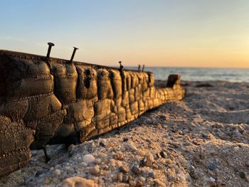 Scenic view of sea against sky during sunrise of burned wood with nails.