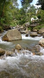 Stream flowing through rocks in forest