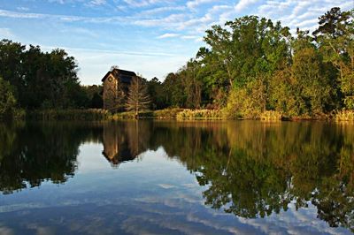 Reflection of trees in water