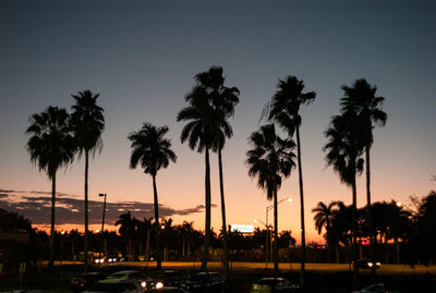 Silhouette palm trees against sky during sunset