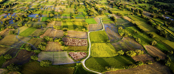 Scenic view of agricultural field