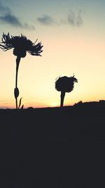 Silhouette of tree against sky at sunset