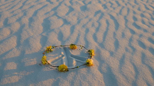 Close-up of floral headband on sand