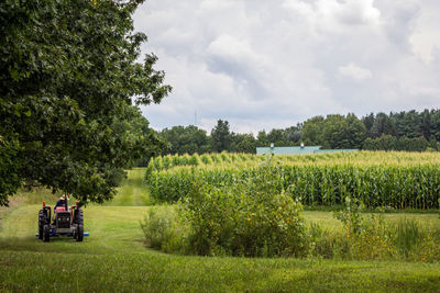 Scenic view of agricultural field against sky